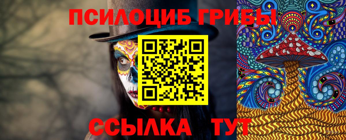Галлюциногенные грибы прущие грибы  Вход с VPN  Галлюциногенные грибы мицелий  Владивосток 
